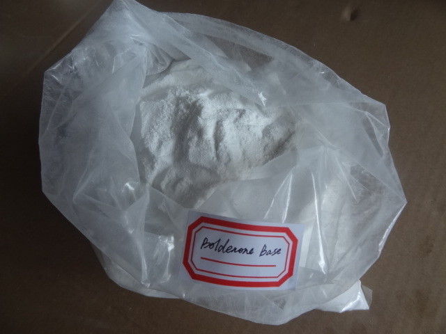 TopQuality Steroid Boldenone Base For Muscle Growth / Boldenone Powder
