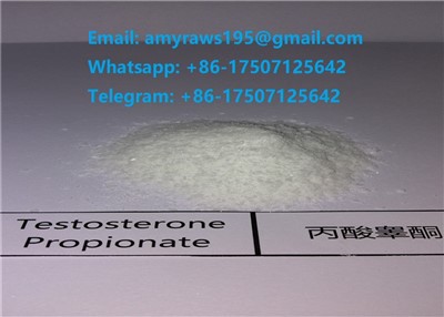 Pó de suporte de teste bruto