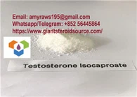Teste de esteróides de musculação isocaproato de testosterona em pó para homens CAS 15262-86-9