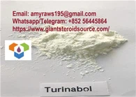 Hot Sell Turinabol / 4-Chlorotestosterone Acetate / Clostebol Acetate Body Fitness Steroid Powder