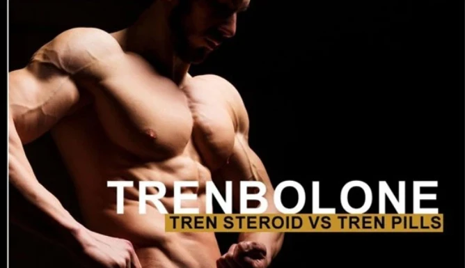 info-668-385 info-668-385